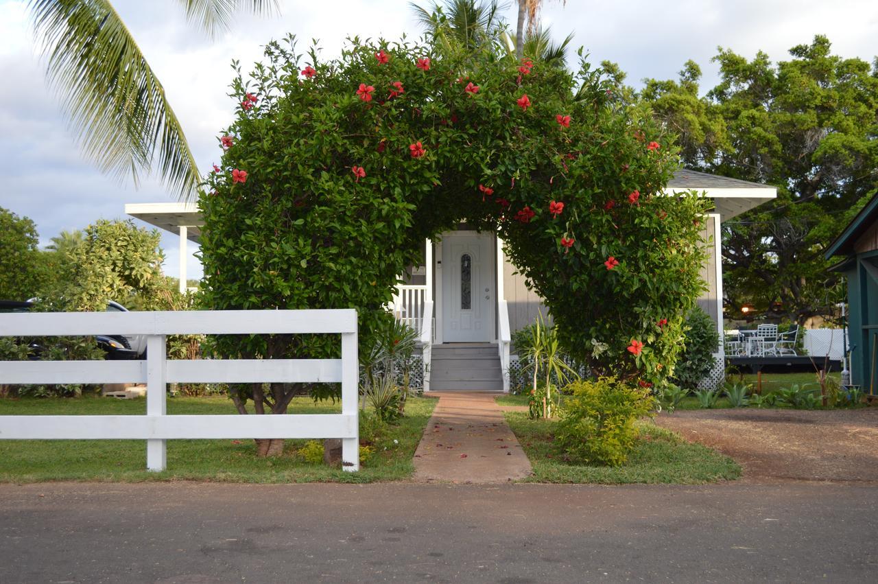 The Lahaina Beach House 호스텔 외부 사진