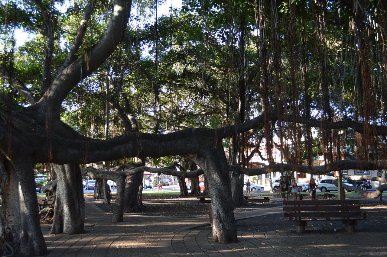 The Lahaina Beach House 호스텔 외부 사진
